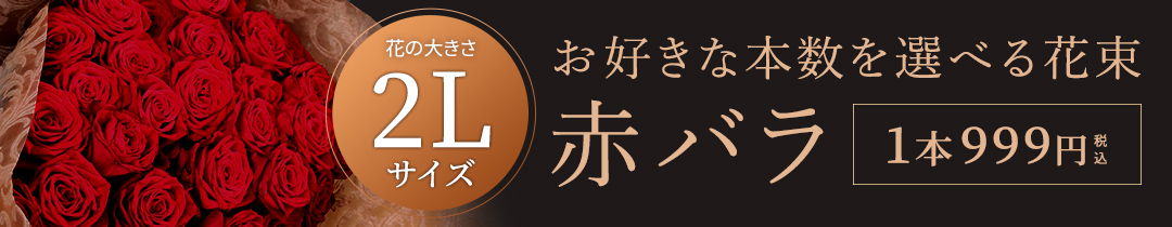 1080x210_amada.jpg