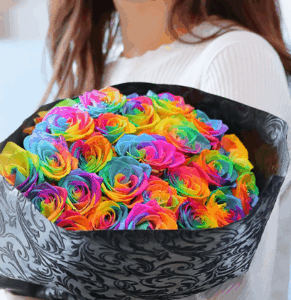 レインボーローズ