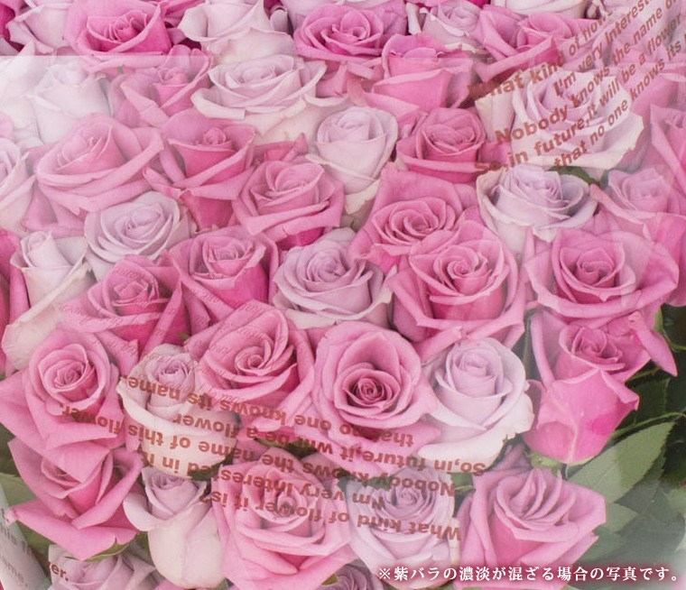バラの花束専門店マミーローズ / 喜寿祝い 紫のバラの花束 77本 喜寿