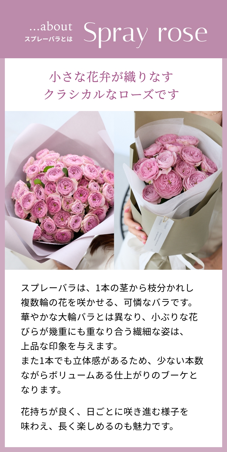 mauve_06.jpg